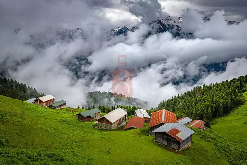 Rize Çay Bahçeleri